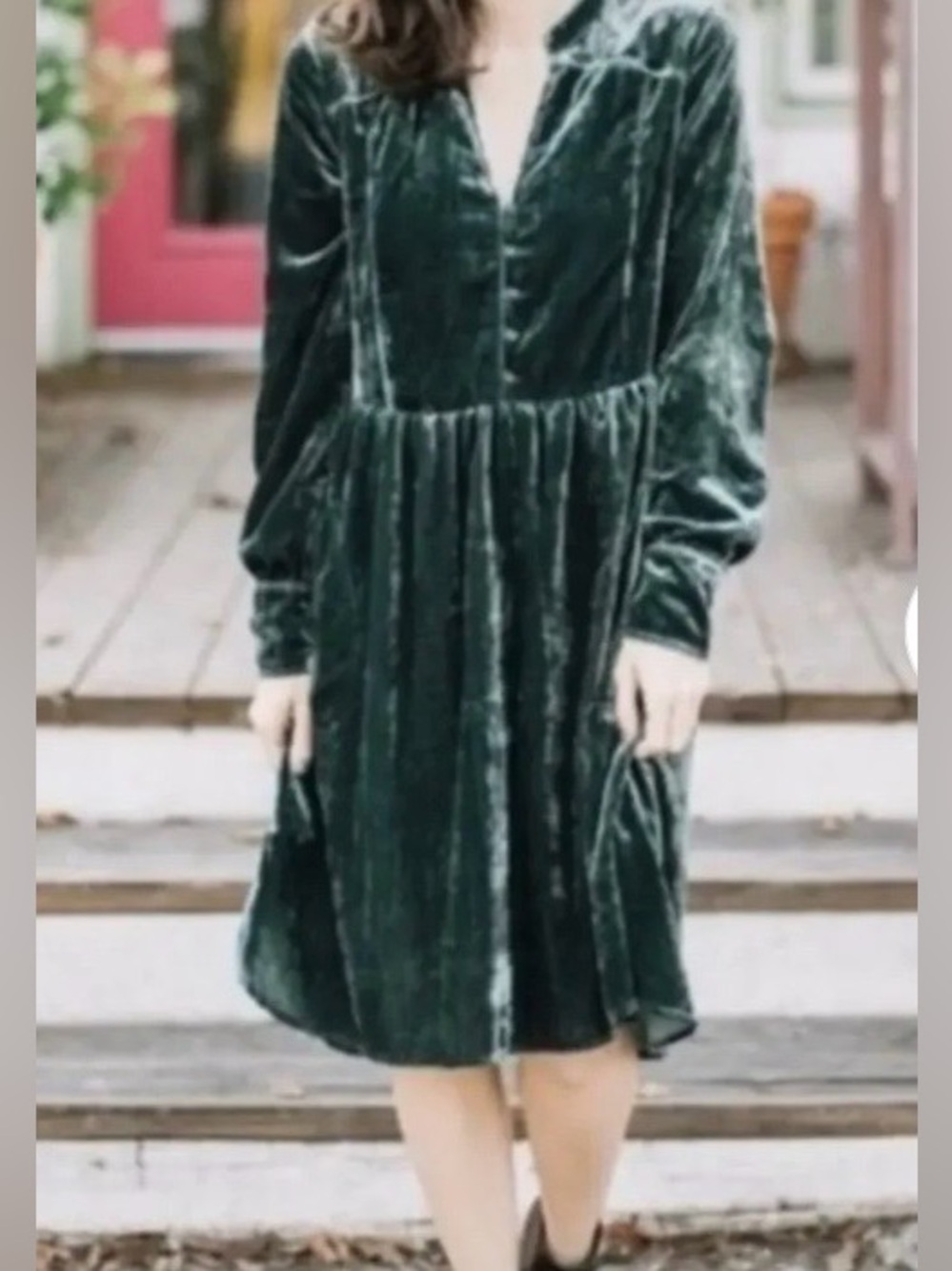 Holding Horses Velvet Dress
